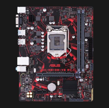 H310