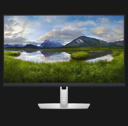 DELL P2422H