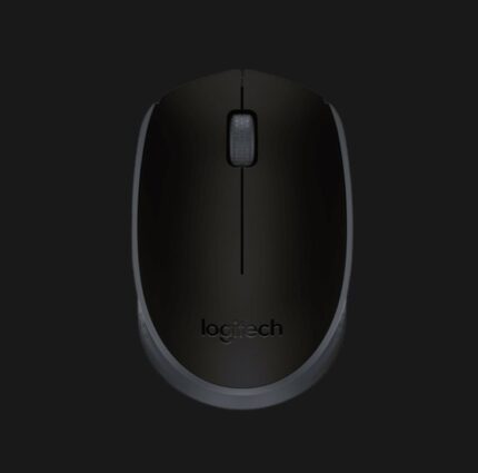 Logitech M171